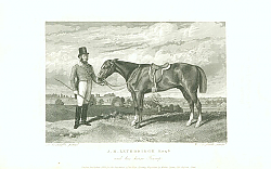Постер J.H. Lethbridge Esqr. And his horse Trump