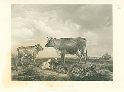 Постер The Pasture; Osborne 1
