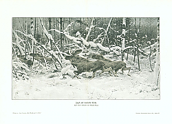 Постер Jagd auf russische Elche