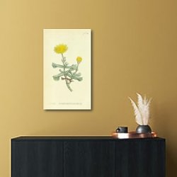 «Curtis Ботаника №57» в интерьере в черно-золотом цвете