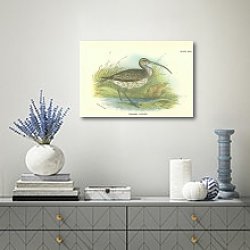 «Common Curlew» в интерьере над комодом