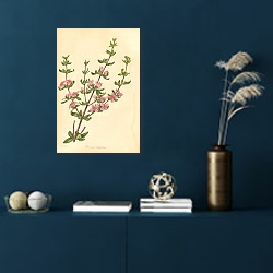 «Boronia Ledifolia 1» в интерьере синей комнаты