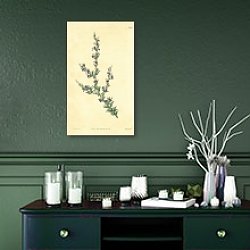 «Curtis Ботаника №48» в интерьере зеленой комнаты