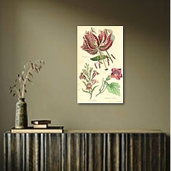«Lilium Speciosum, Pentstemon Heterophyllum, Lophospermum Scandens» в интерьере с деревянными деталями