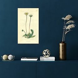«Curtis Ботаника №59» в интерьере синей комнаты