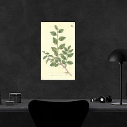 «Curtis Ботаника №53» в интерьере кабинета в черном цвете