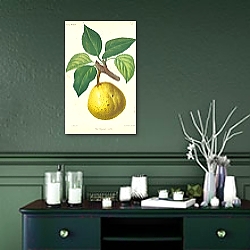«Poire Bergamote Leseble» в интерьере зеленой комнаты