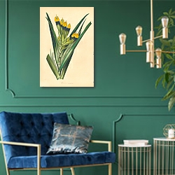 «Dark-Flowered Witsenia [Witsenia Maura] 1» в интерьере изумрудной комнаты
