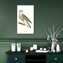 «Stone Falcon» в интерьере зеленой комнаты