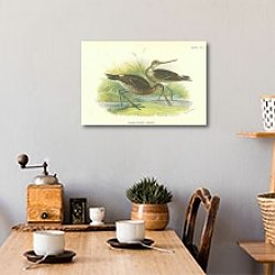 «Black-Tailed Godwit» в интерьере кухни в стиле ретро
