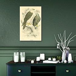 «Jer Falcon Adult & Young» в интерьере зеленой комнаты