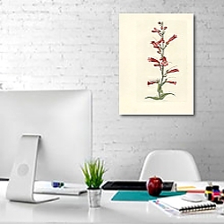 «Pentstemon Angustifolium 1» в интерьере офиса в белом цвете