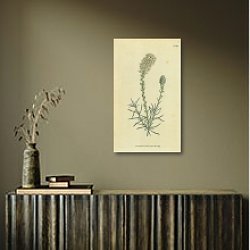 «Curtis Ботаника №51» в интерьере с деревянными деталями