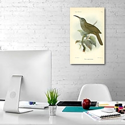 «Plilotis Megalorhynchus 1» в интерьере офиса в белом цвете