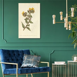 «Lithospermum Orientale. Yellow Gromwell, or Bugloss 1» в интерьере изумрудной комнаты