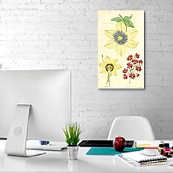 «Clematis Siebaldii, Seedling Sparaxis, Chorizema Ovata» в интерьере офиса в белом цвете