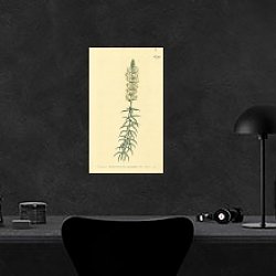 «Curtis Ботаника №49» в интерьере кабинета в черном цвете