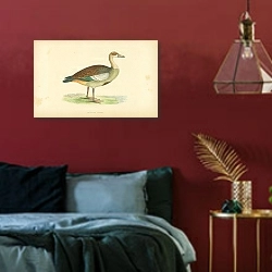 «Egyptian Goose 1» в интерьере красной спальни