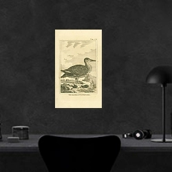 «The Gad-Wall Duck, the Female» в интерьере кабинета в черном цвете