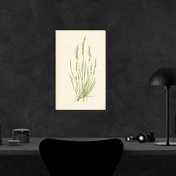 «Festuca Uniglumis 1» в интерьере кабинета в черном цвете