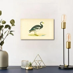 «Spur-Winged Goose» в интерьере комнаты с золотыми деталями
