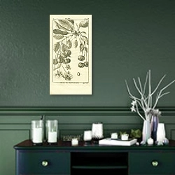 «Cerise de la Toussaint» в интерьере зеленой комнаты