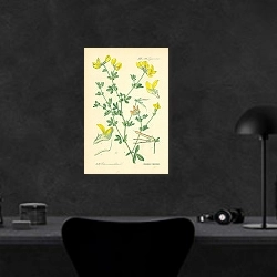 «Leguminosae, Lotus corniculatus 1» в интерьере кабинета в черном цвете