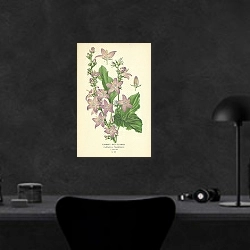 «Chimney Bell-flower (Campanula Pyramidalis) 1» в интерьере кабинета в черном цвете
