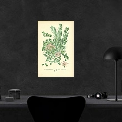 «Sedum Sieboldii, Sedum Sarmentosum 1» в интерьере кабинета в черном цвете