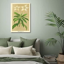 «Lindenia Rivalis 1» в интерьере зеленой спальни