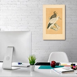 «Egyptian Vulture 4» в интерьере офиса в белом цвете