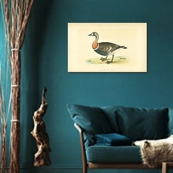 «Red-Breasted Goose» в интерьере бирюзовой комнаты