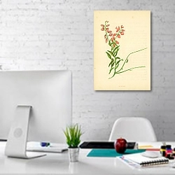«Milkwort 1» в интерьере офиса в белом цвете
