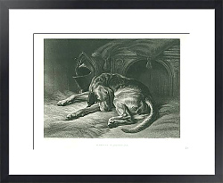 Постер Sleeping Bloodhound 1