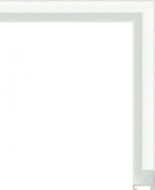 Багетная рама 1056