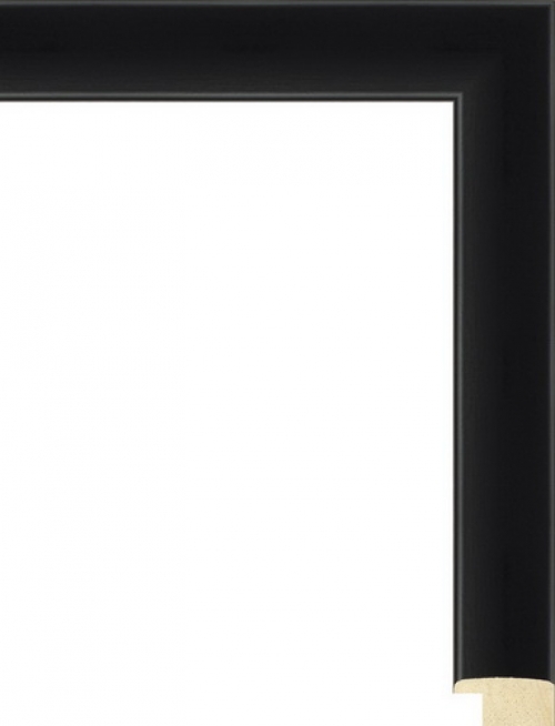 Багетная рама 1.023.001