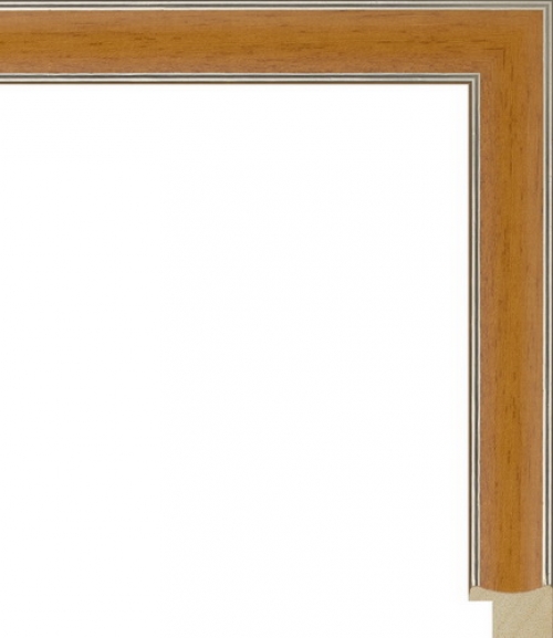 Багетная рама 738.149.960