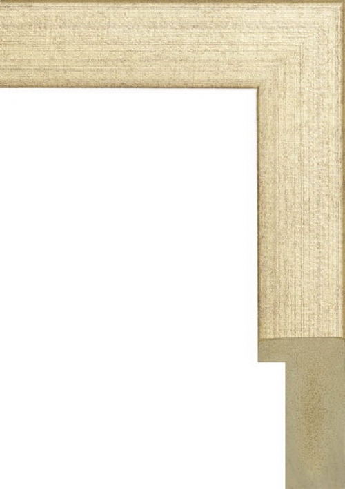 Багетная рама 884.OAC.420