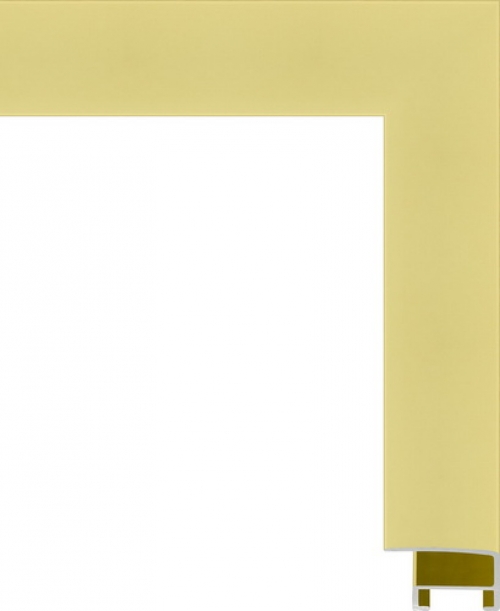 Багетная рама 5001