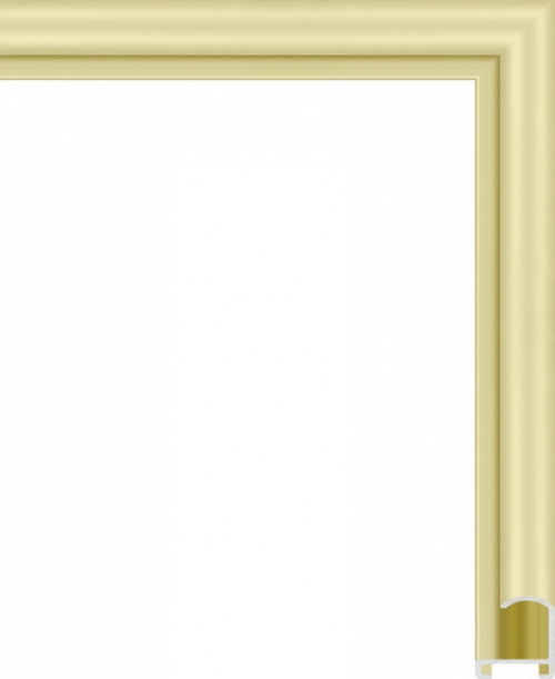 Багетная рама 2001