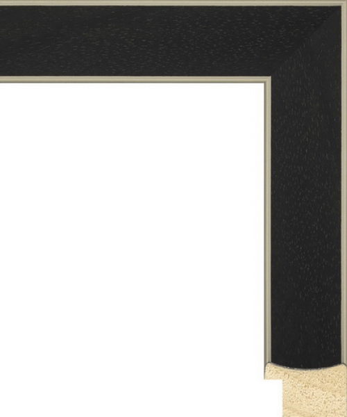 Багетная рама 738.159.980