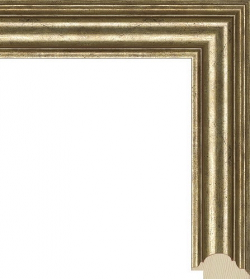 Багетная рама NA022.0.045