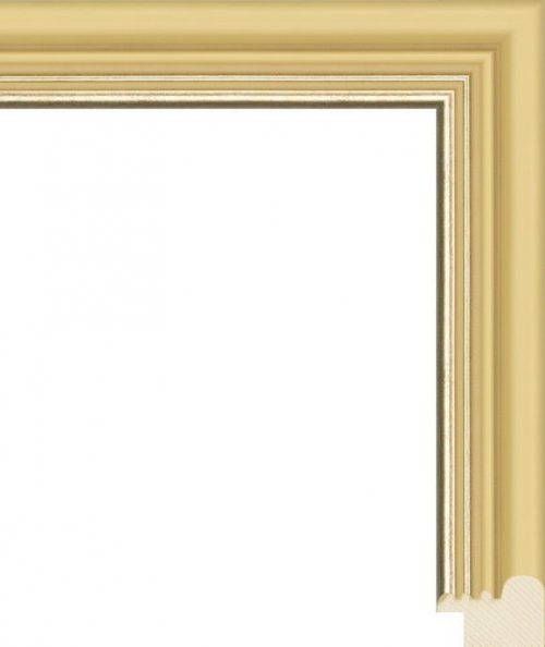 Багетная рама NA046.0.149