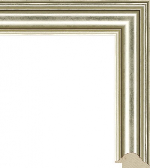 Багетная рама NA022.0.048