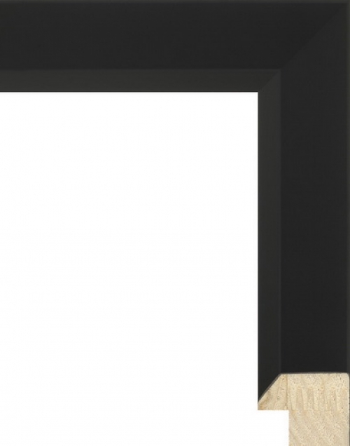 Багетная рама 809_31