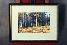 Репродукции картин Шишкина в рамах с паспарту