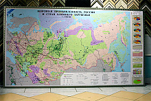 Карты большого размера для офиса