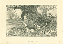 Постер Otter Hunting 1