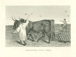 Постер Harrowing with Oxen