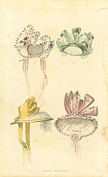 Постер Head Dresses 1